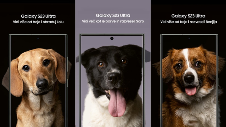 Samsungova kampanja Vidi vise od boja pomaže udomljavanje životinja